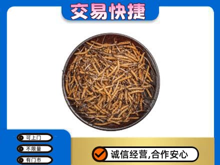 平凉市庄浪礼品回收虫草.jpg